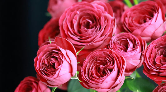 Sending Spring Flowers for Anniversaries and Relationship Milestones