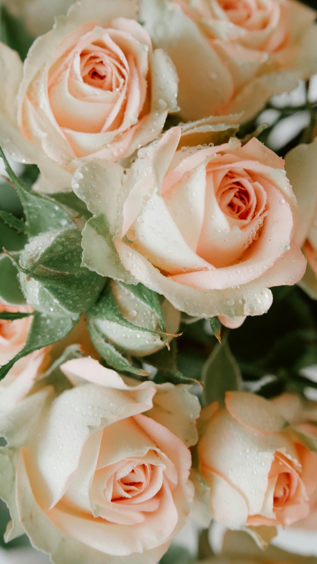 For the Woman Who Changed Your Path
