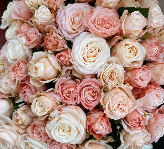 Spring Flowers for New Beginnings and Bold Next Chapters