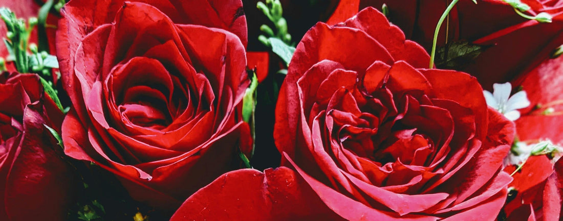 Why Bringing Flowers to a Date Still Matters