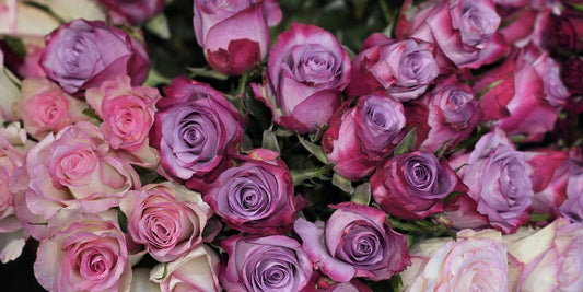 Congratulations Flowers for New Teachers Starting Their First Job