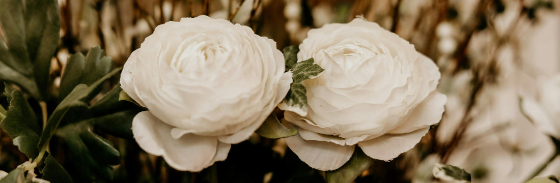 100 Sympathy Messages to Send With Flower Bouquets