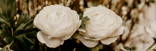 100 Sympathy Messages to Send With Flower Bouquets