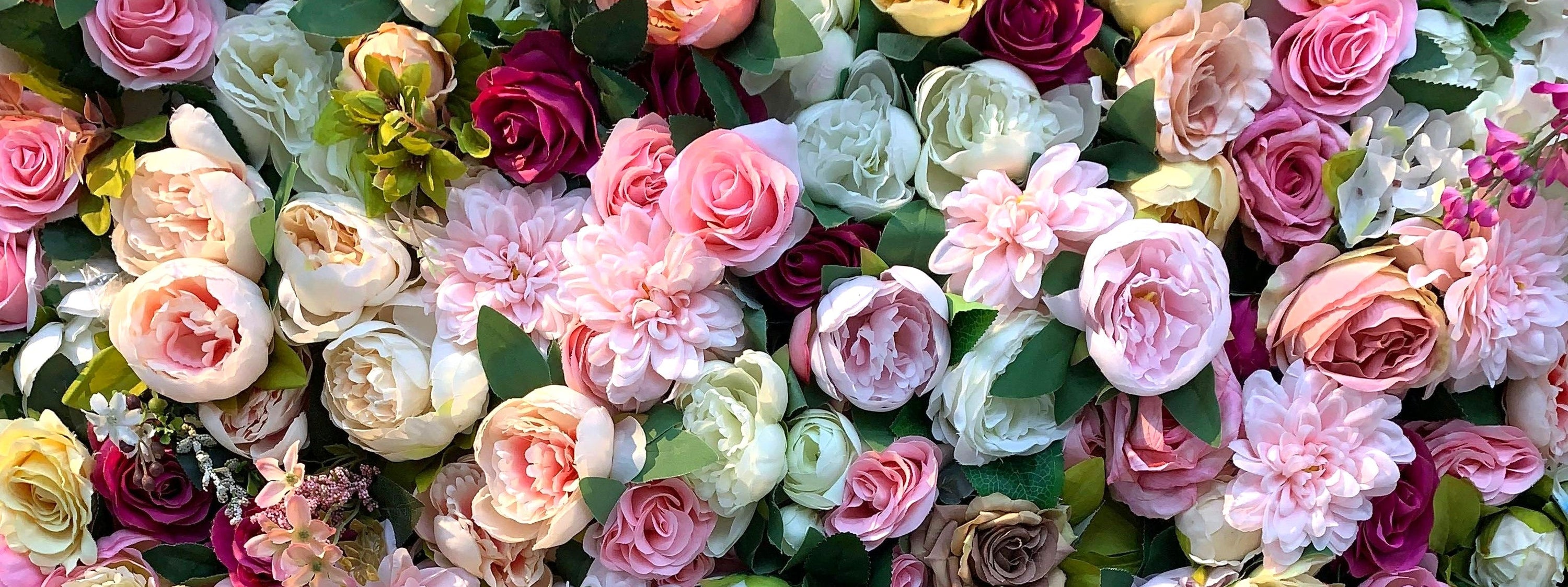 Assorted Color Roses as a Host Gift | Aquarossa Farms