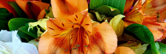 Why Fall is the Perfect Season for Sending Flowers