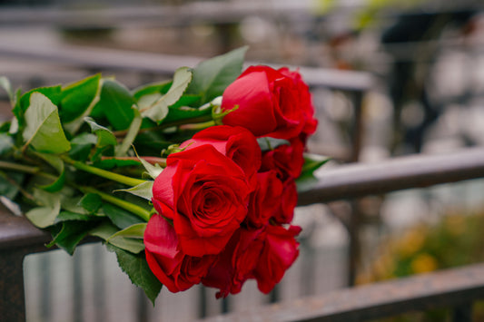 How to Celebrate Your Leo Friend in a Way They’ll Never Forget
