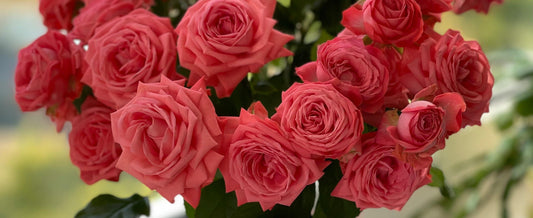 Simple Ways Flowers Can Brighten Your Spring Routine