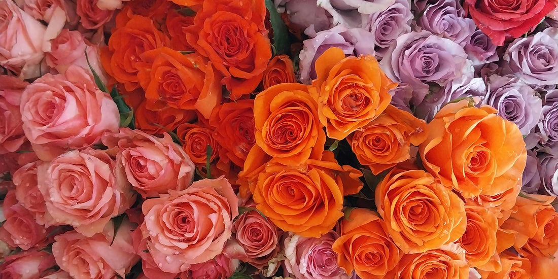 Thank You Flowers for Friends Who Stood By You