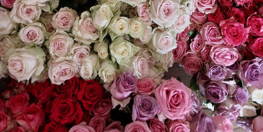 The Best Thank You Flowers to Send in the Summer Time