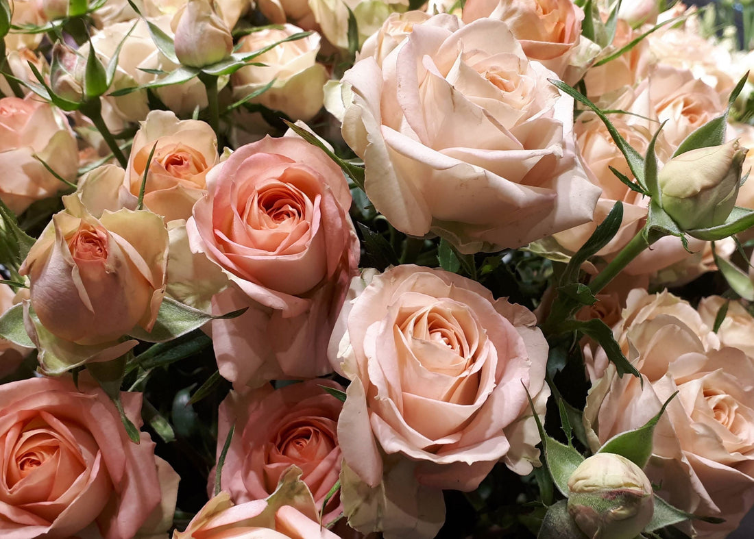 Get Well Soon Flowers That Truly Lift a Friend’s Spirit