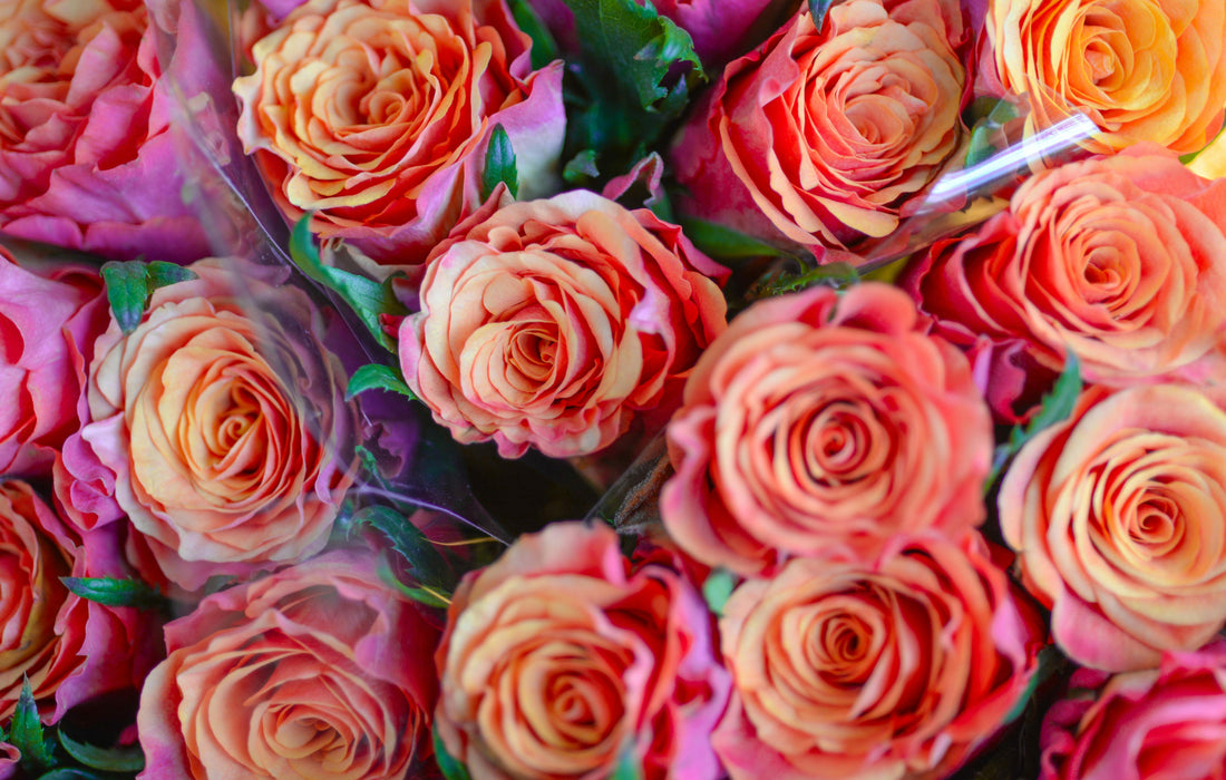 Thank You Flowers to Bring Your Host
