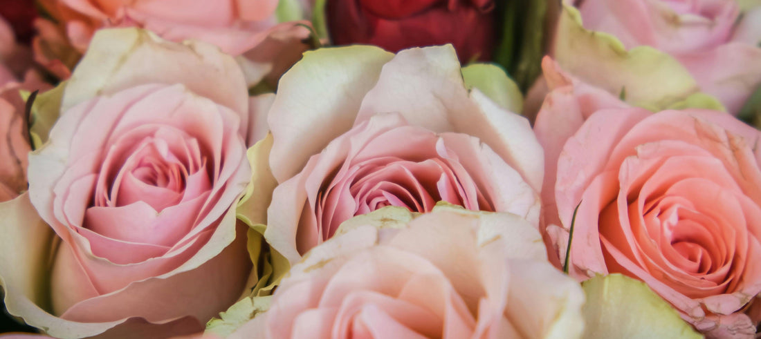 Why Buying Flowers for Friends on Valentine’s Day Feels So Meaningful
