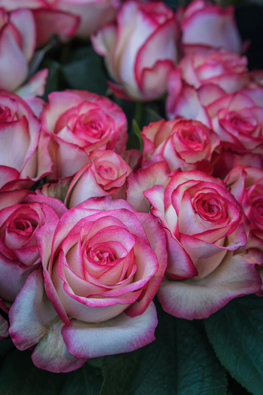 The Best Thank You Flowers to Send in the Summer Time