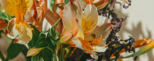 Alstroemeria Flowers Are the Easiest Way to Add Color to Your Thanksgiving Table