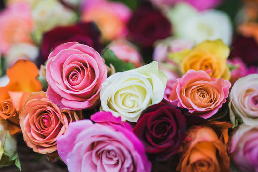 Summer Moments That are Better With Roses