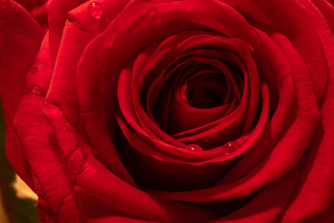 Making Romance Feel Effortless: Simple Flower Gestures That Mean Everything