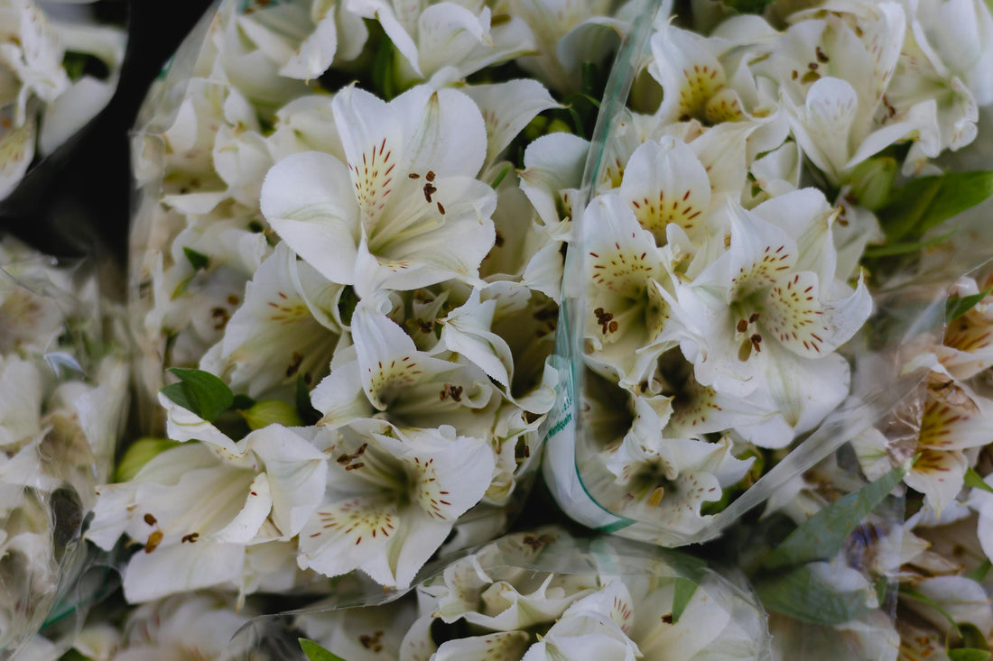 Alstroemeria Lilies Make Romance Feel Effortless