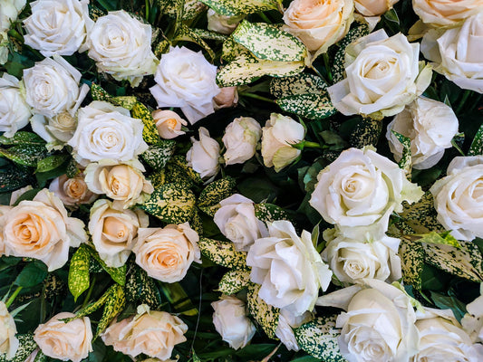 Father's Day Flowers That Speak Louder Than Words