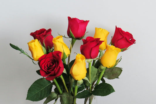 Why Sending Yourself Flowers This Spring Is the Self-Care You Deserve