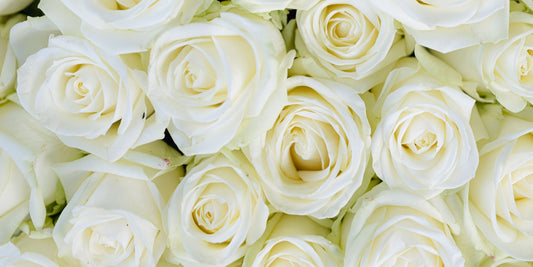 Sending Sympathy Roses When Words Are Not Enough