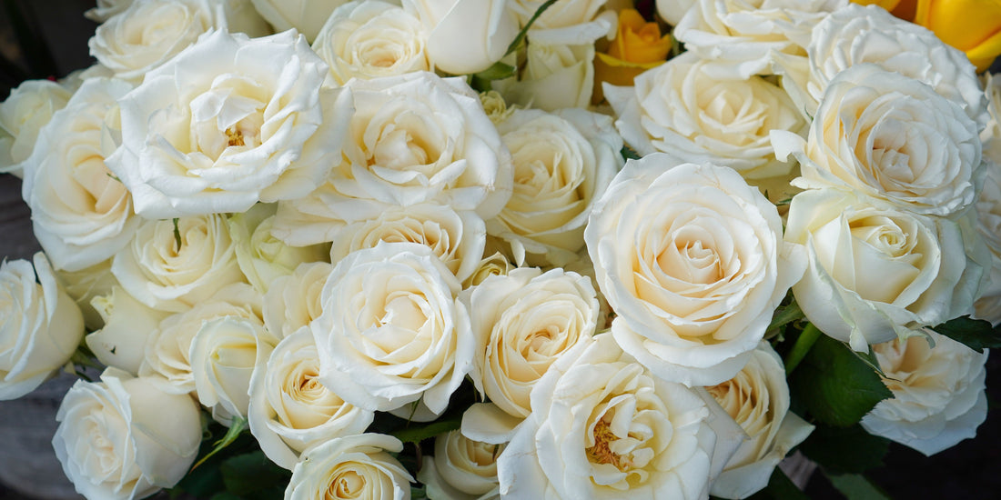 Birthday Flowers for Men That Actually Feel Right