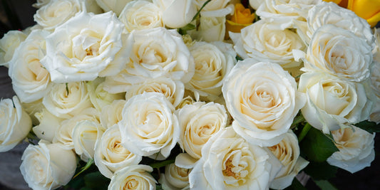 Birthday Flowers for Men That Actually Feel Right