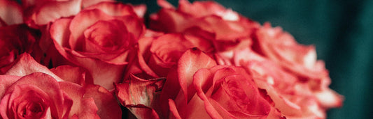 The Sweetest Way to Show Up for a Friend