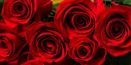 Meaningful Flowers for Nurses Appreciation Week