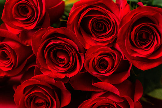 High School Graduation Flowers to Celebrate the Graduates