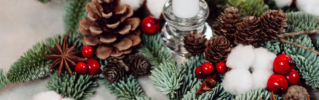 The Meaning Behind Popular Holiday Flowers: Poinsettias, Holly, and More