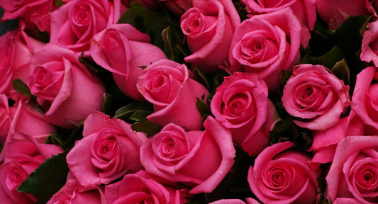 Why Spring Is the Best Time to Send Flowers Just Because