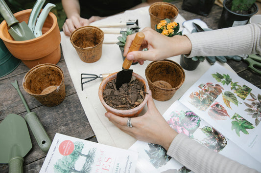 How to Plant a Container Garden