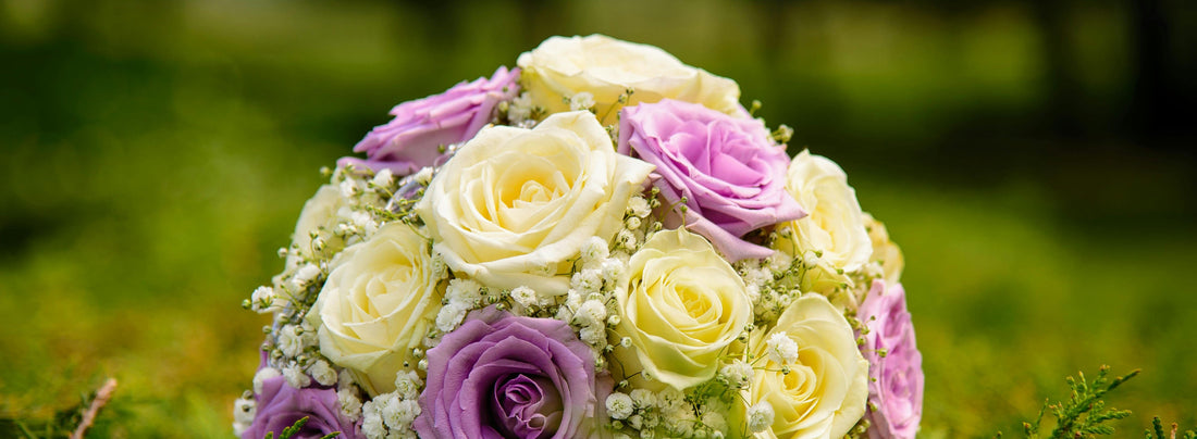 Roses for the Daughter in Law Who Deserves to Feel Welcomed