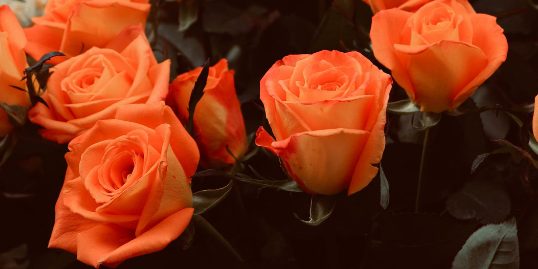 Celebrating High School Graduates with Fresh Flowers