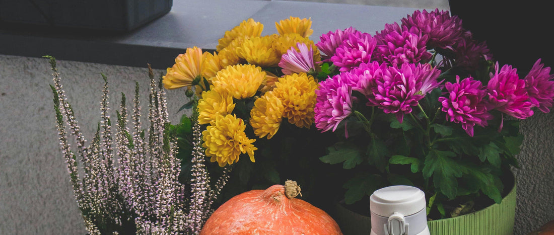 Hosting Essentials for October Gatherings