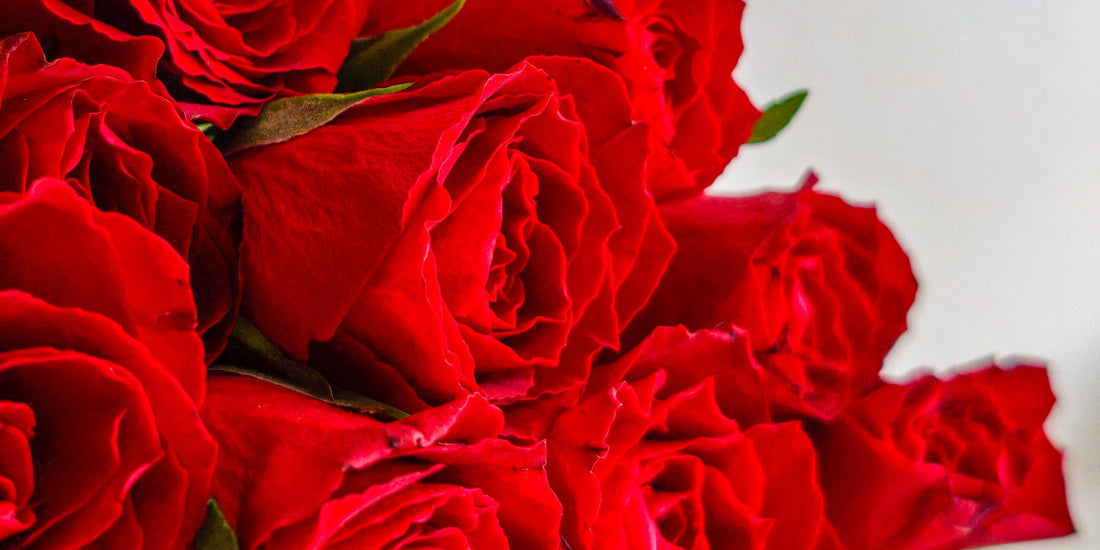 Sending Birthday Flowers to Your Long Distance Partner