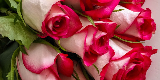 What Are Rainforest Certified Flowers and Why Do They Matter