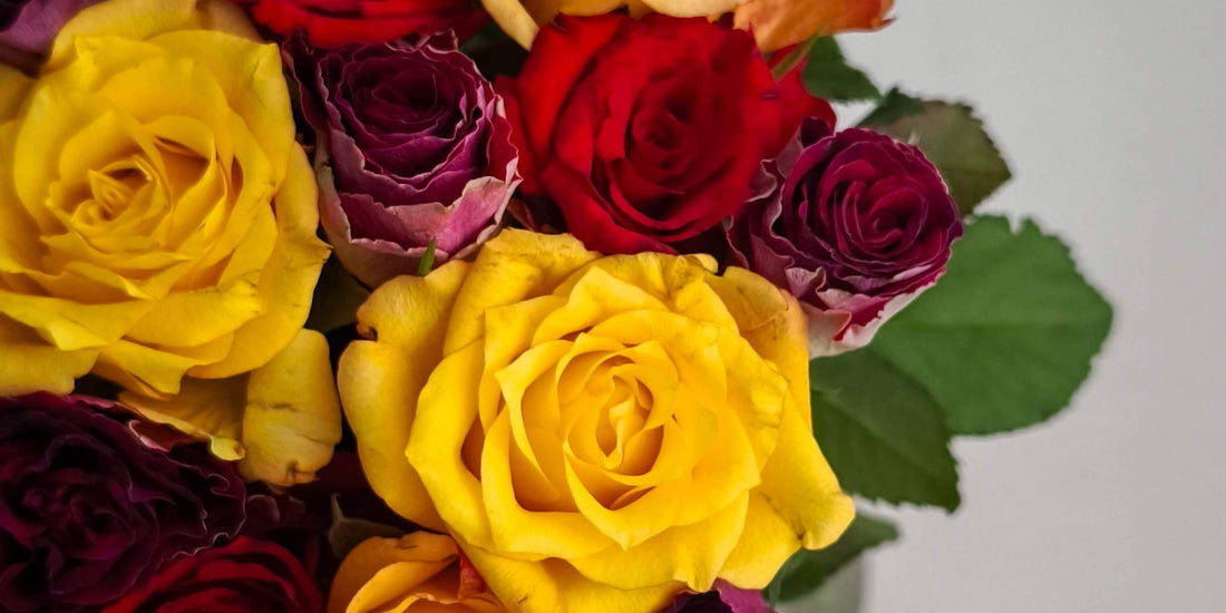 What to Give Someone Who Says They Don’t Want Anything for Their Birthday