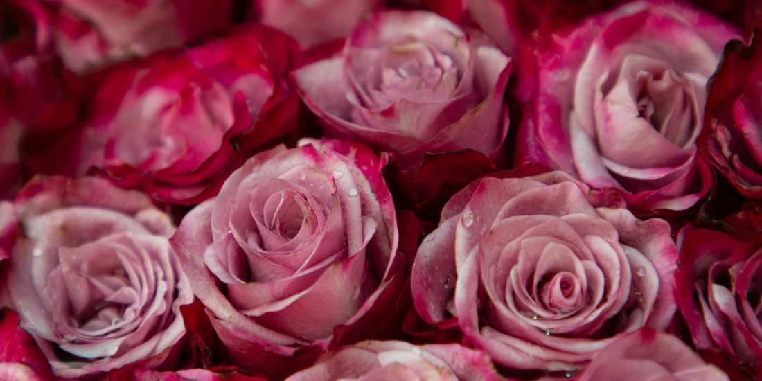 Thoughtful Ways to Thank Nurses with Fresh Flowers