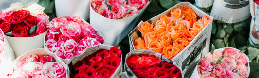 Beautiful Flower-Inspired Gift Ideas for Every Occasion