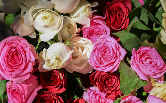 Galentine’s Day Is the Perfect Excuse to Send Flowers to Your Friends
