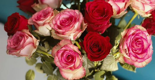 Why Galentine’s Day Flowers Are Worth Sending