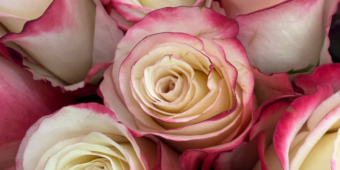 How Sending Get Well Soon Flowers Can Help Someone Feel Better Faster