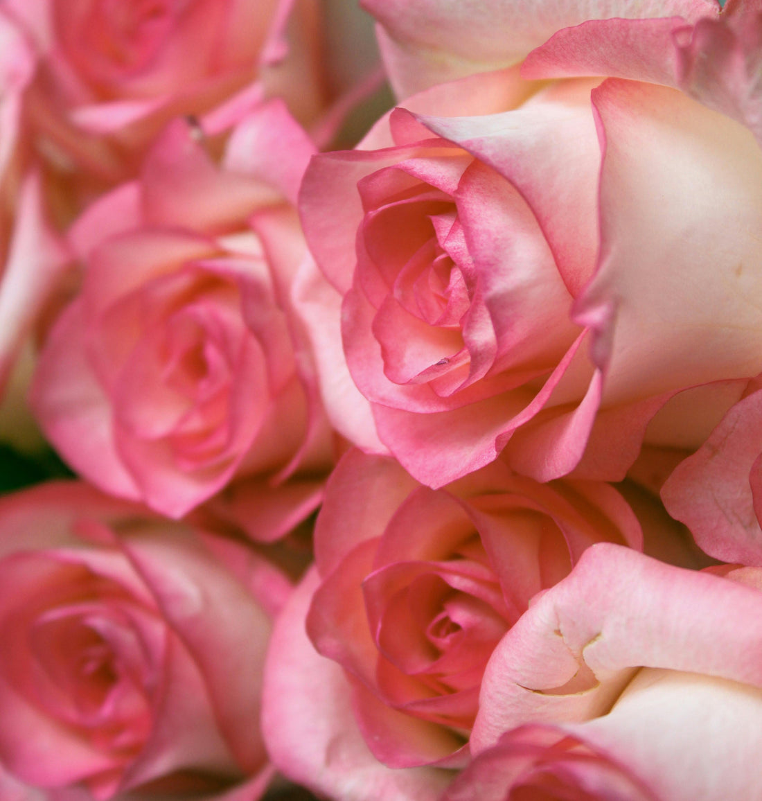 Playful Romantic Gestures for New Relationships and Sweet Beginnings