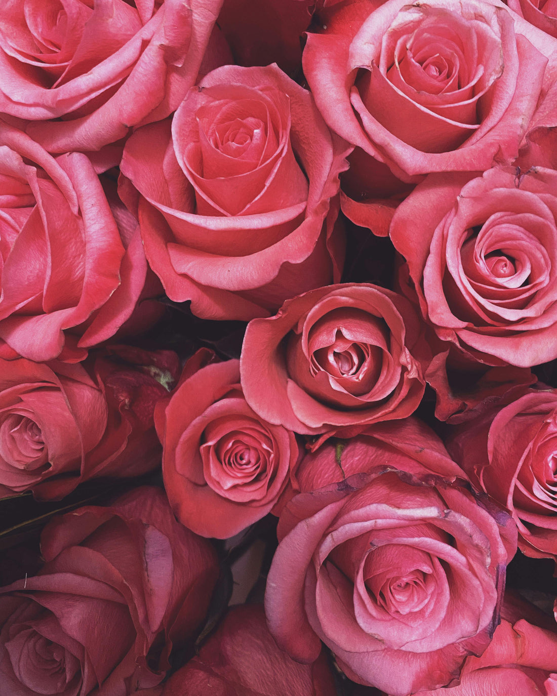 Fresh Flowers, Fresh Start — Send a New Home Bouquet