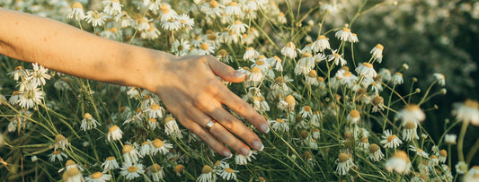 The Best Flowers to Send When Words Aren’t Enough