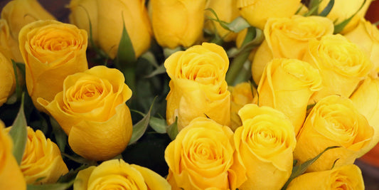 How Flowers Bring Comfort and Calm to Nurses After Long Shifts