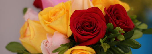 Buying Yourself Flowers on Valentine’s Day Is a Good Idea