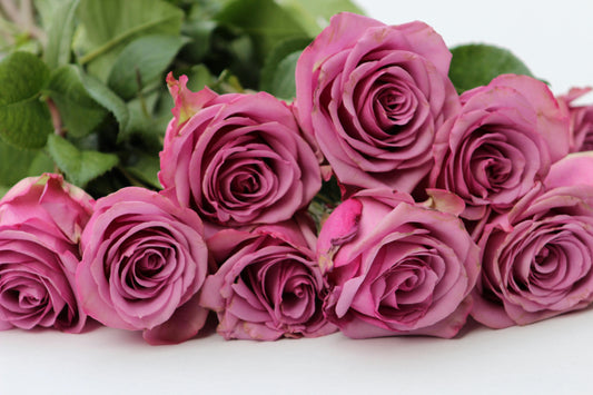 Lavender Roses: The Perfect Bouquet to Send This Spring