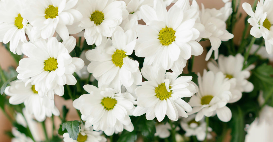 Send Flowers Just Because (and Because You Miss Them)